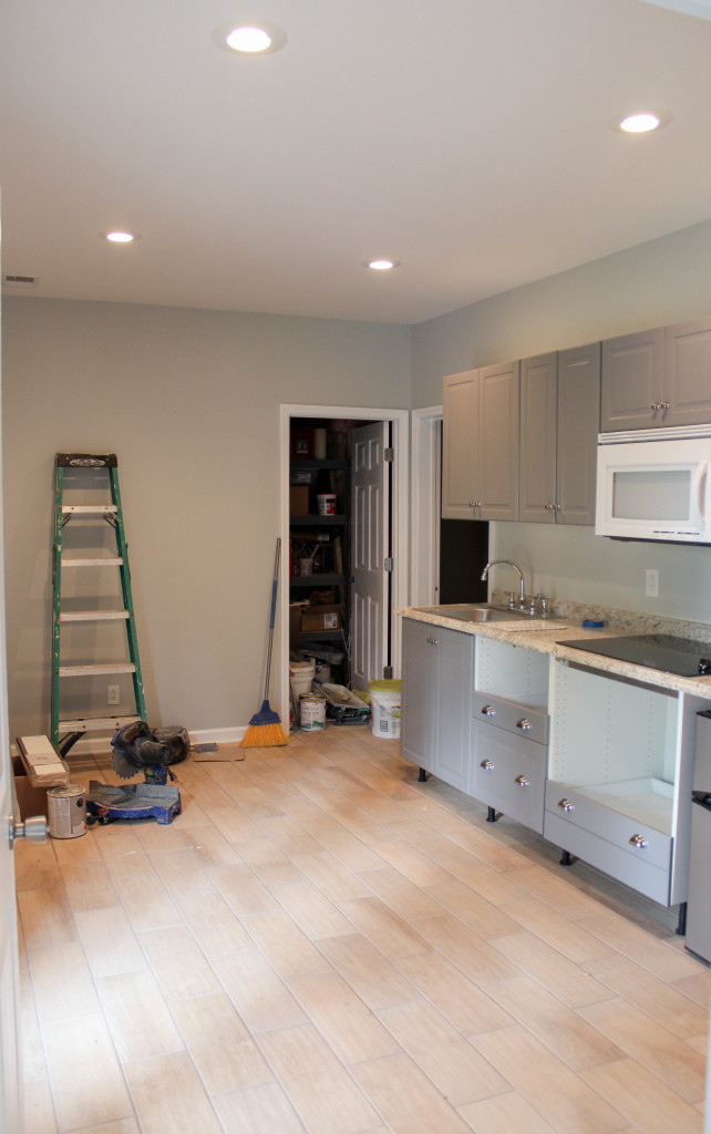 Gray Ikea Kitchen cabinets in a basement mini kitchen